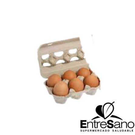 HUEVOS BONOVO X 6 UNIDADES (MEDIA DOCENA)